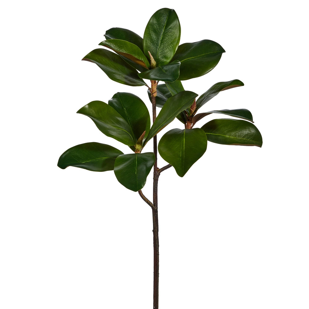 24” Magnolia Leaf Branch