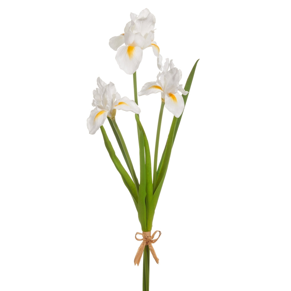 23" Real Touch White Iris Bundle