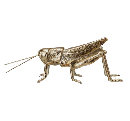 Gold Grasshopper