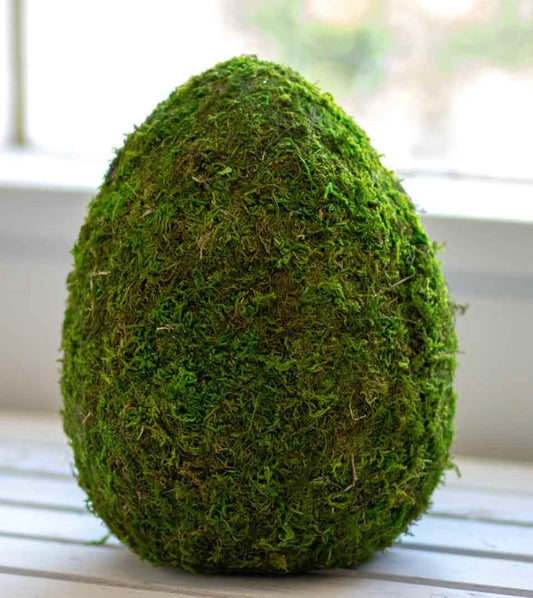 Moss Egg 10"