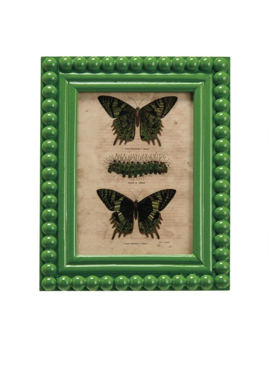 Picture Frame w/ Vintage Reproduction Image, 2 Colors (5" x 7" Photos)