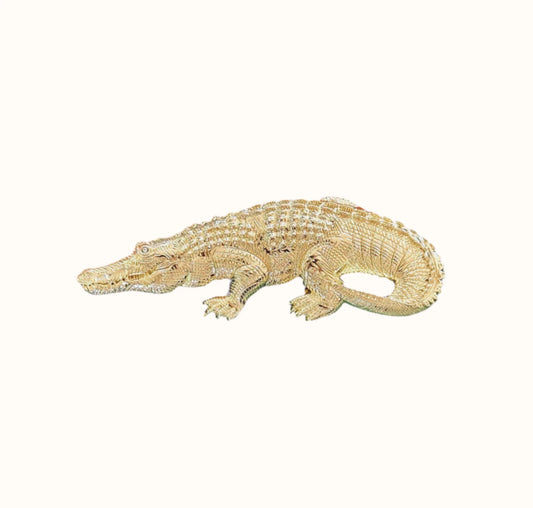 Gold Belt Buckles Gator
