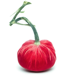 Velvet Pumpkins Various Colors & Sizes