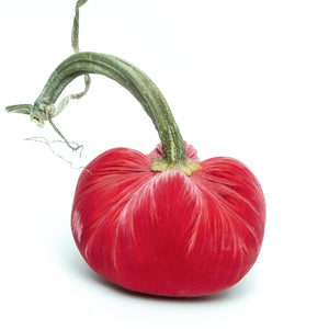 Velvet Pumpkins Various Colors & Sizes