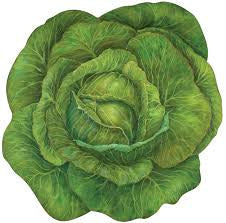 Hester and Cook Placemats (Pack of 12) Cabbage