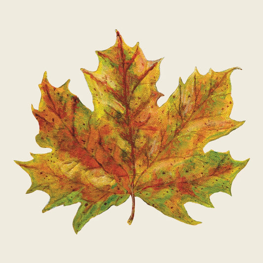 Hester & Cook Cocktail Napkins Fall Foliage