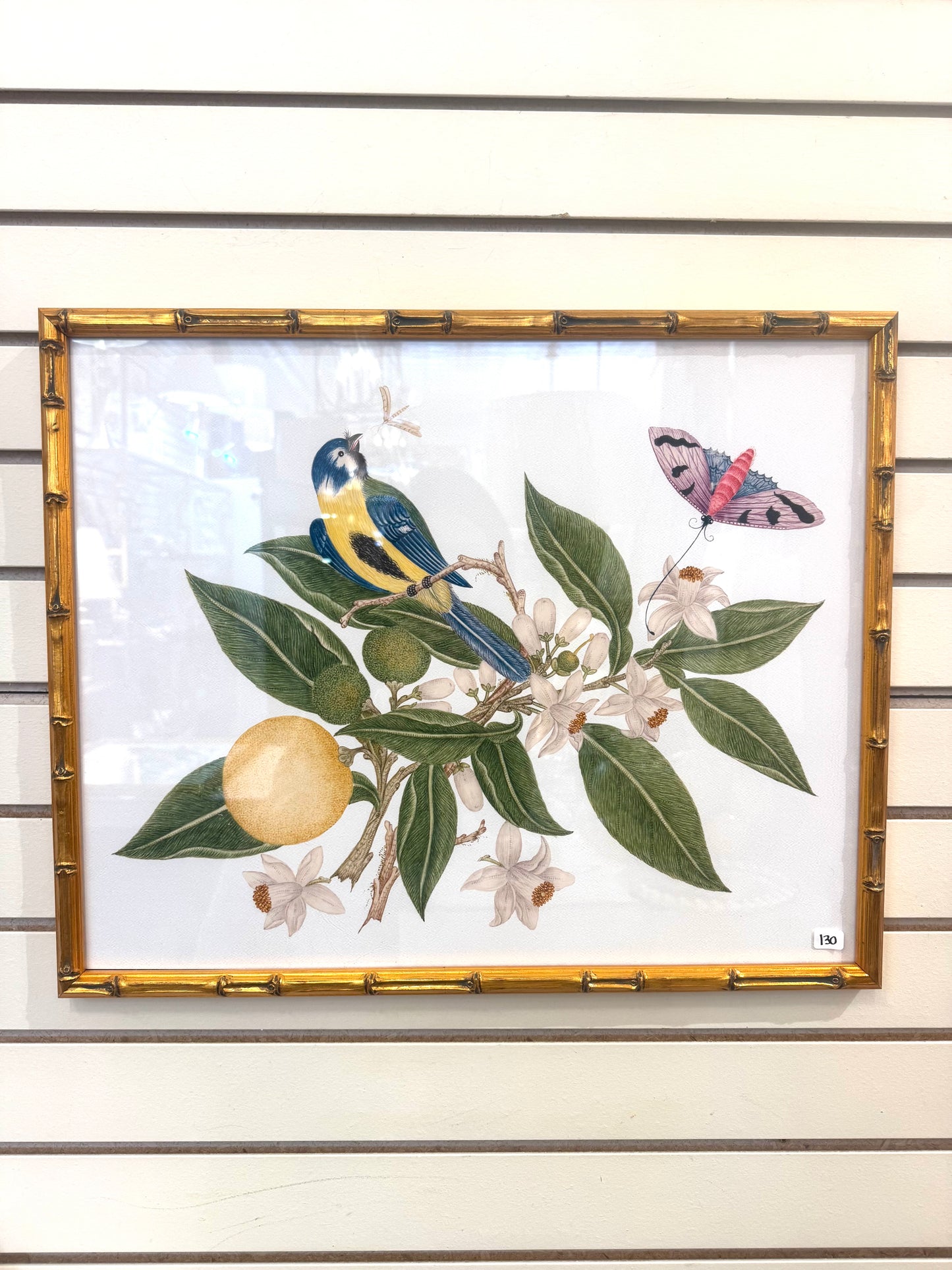 Bird Prints with Gold bamboo frames