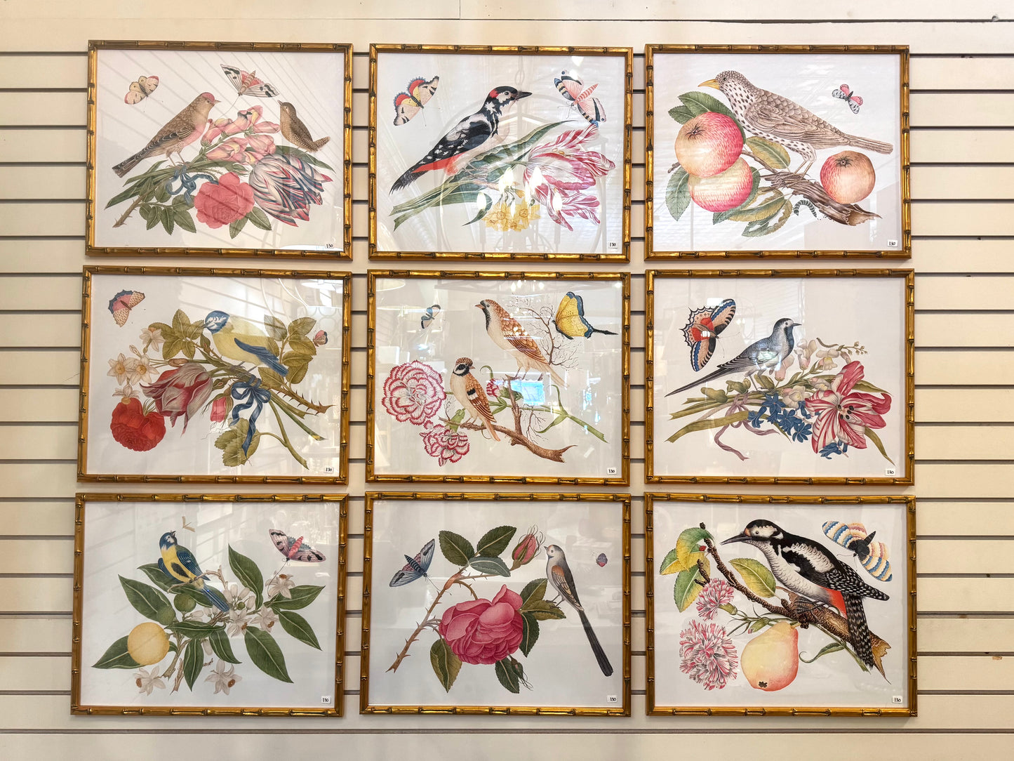 Bird Prints with Gold bamboo frames