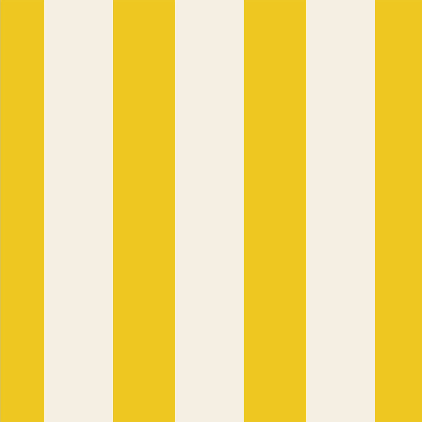 Hester & Cook Marigold Classic Stripe Cocktail Napkins