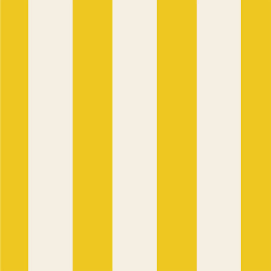 Hester & Cook Marigold Classic Stripe Cocktail Napkins