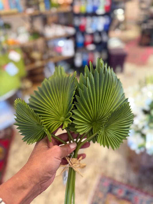 Spikey Palm Stem