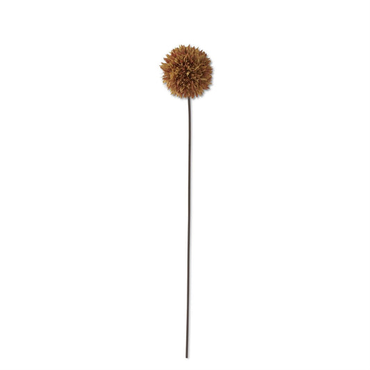 26” Brown Allium Stem