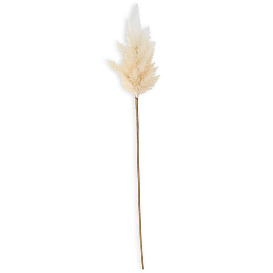35” Flocked Cream Pampas Grass Branch