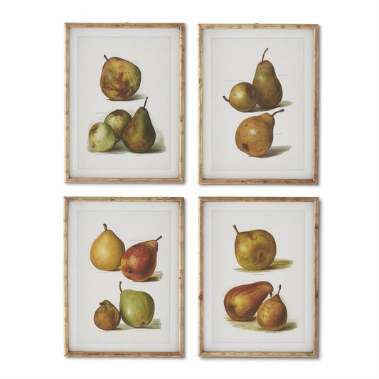 Assorted 23.5 in Wood Framed Pear Prints