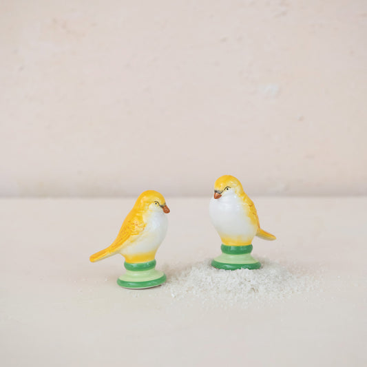 Ceramic Lovebird Shaped Salt & Pepper Shakers | Set