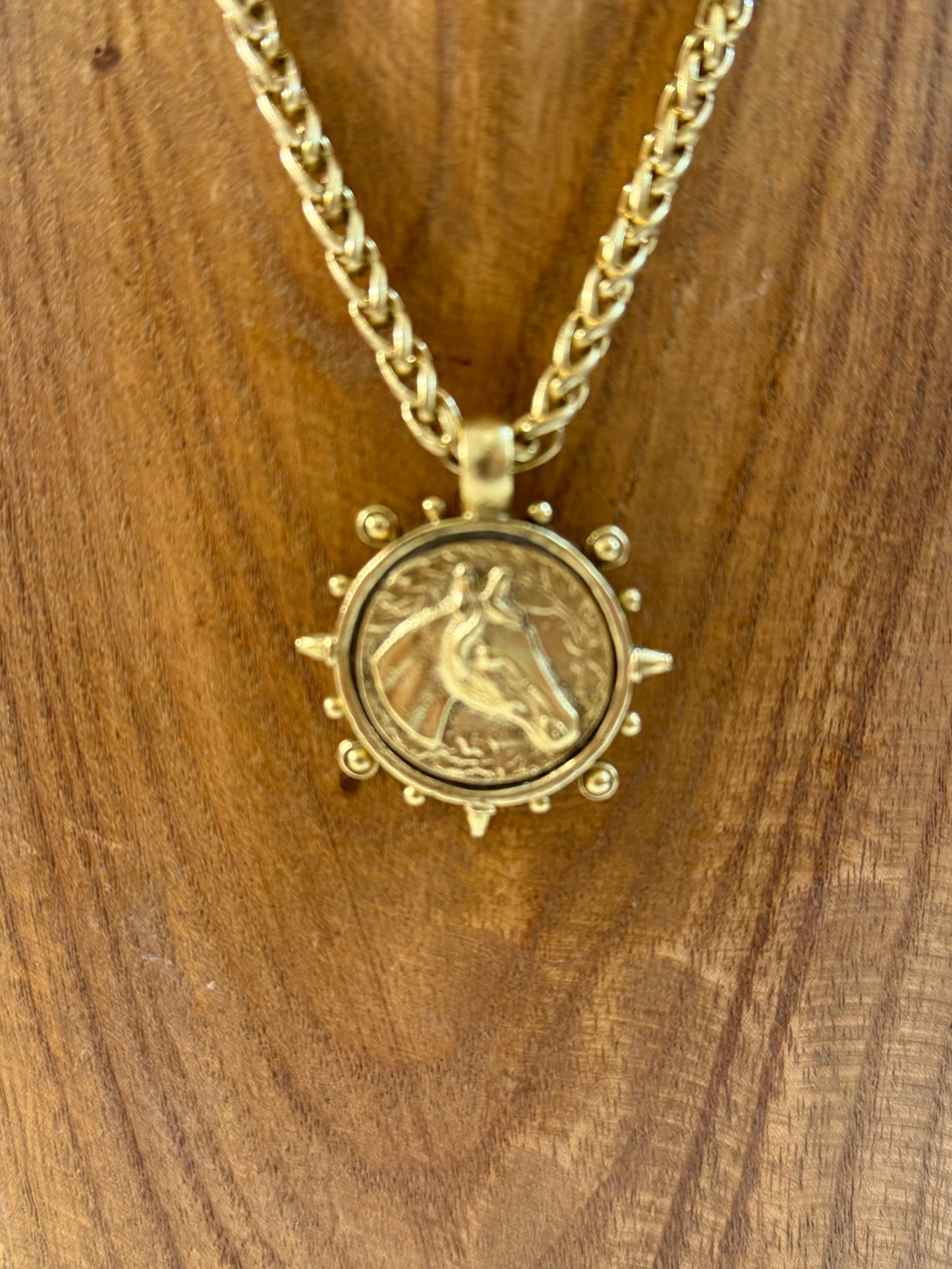 Horse Coin Necklace