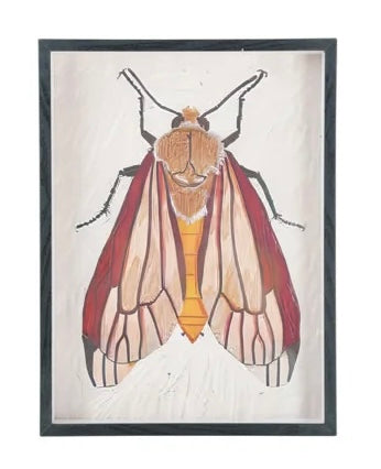 MDF Framed Acrylic Wall Decor with Moth, 6 Styles