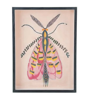 MDF Framed Acrylic Wall Decor with Moth, 6 Styles