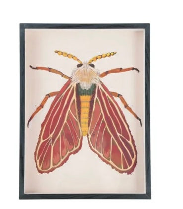 MDF Framed Acrylic Wall Decor with Moth, 6 Styles