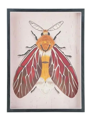 MDF Framed Acrylic Wall Decor with Moth, 6 Styles