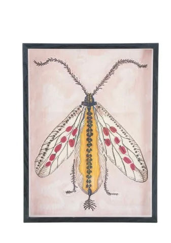 MDF Framed Acrylic Wall Decor with Moth, 6 Styles