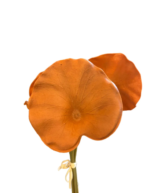 15in Orange Real Touch Lotus Leaf (5pc Bundle)