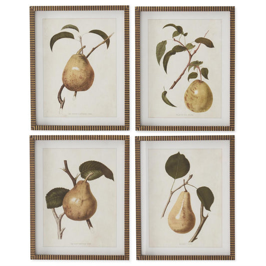 Gold Wood Framed Pear Print Set