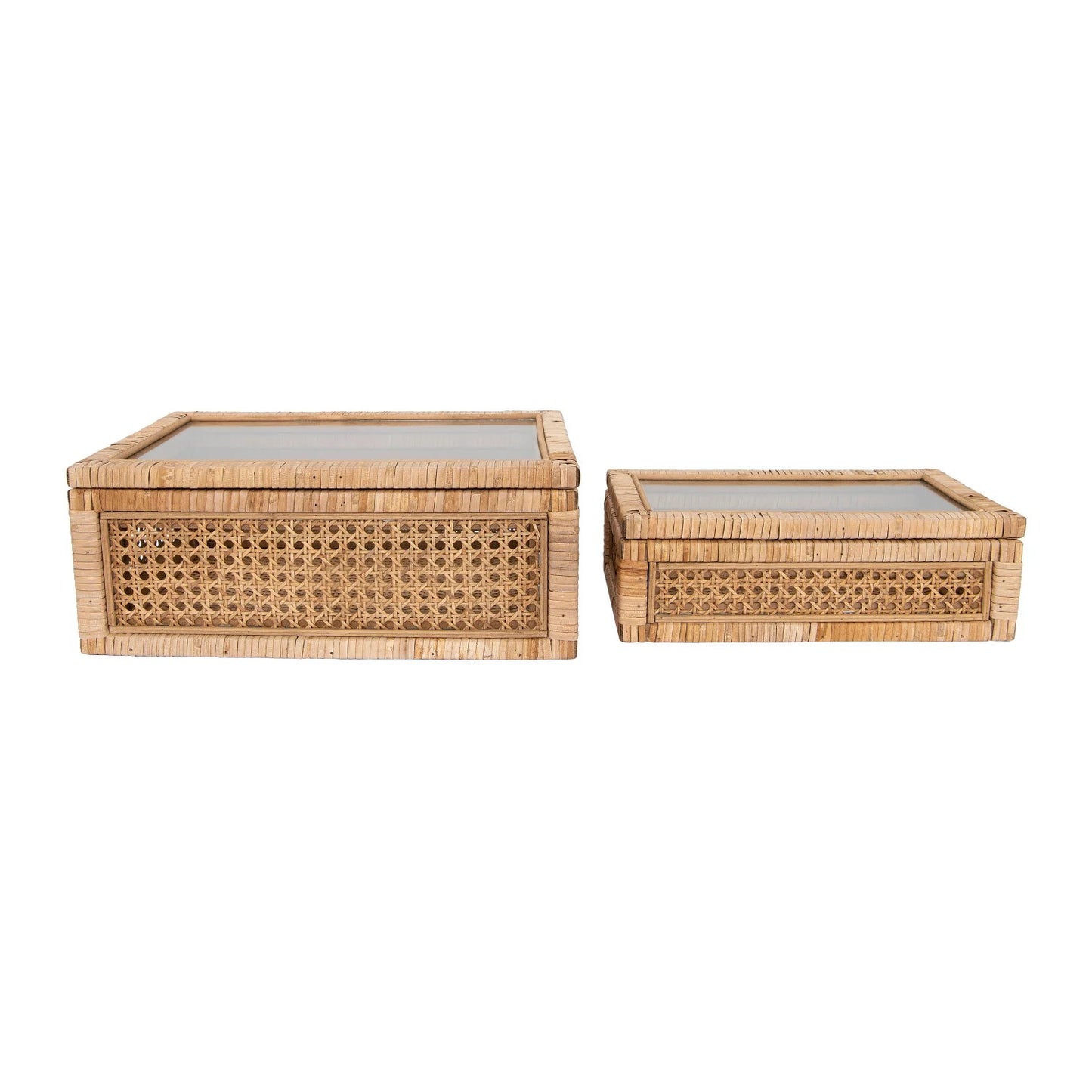 Display Box with Glass Lid (2 Sizes)