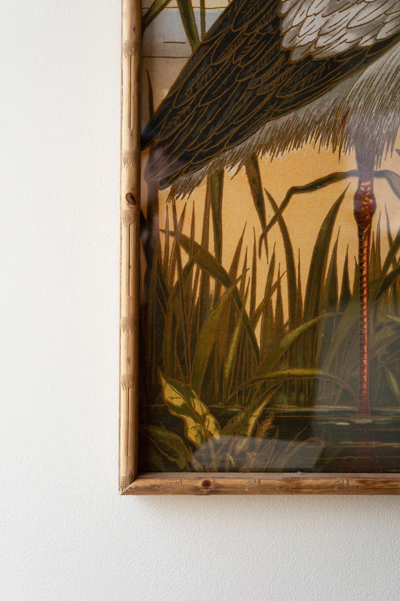 Framed Heron Prints Under Glass Set