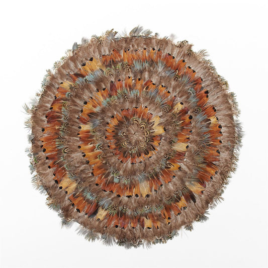 Pheasant Park Set of 6 Round Feather Placemats