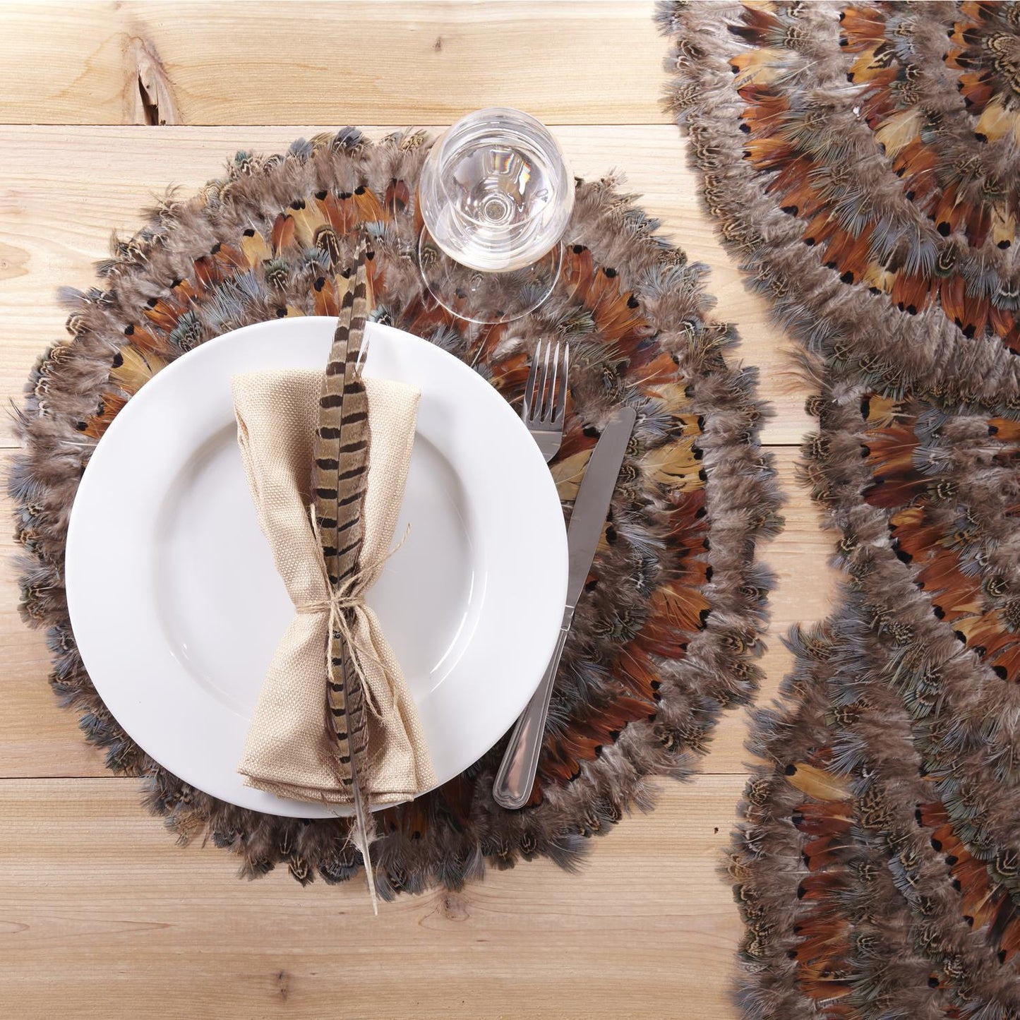Pheasant Park Set of 6 Round Decorative Mats