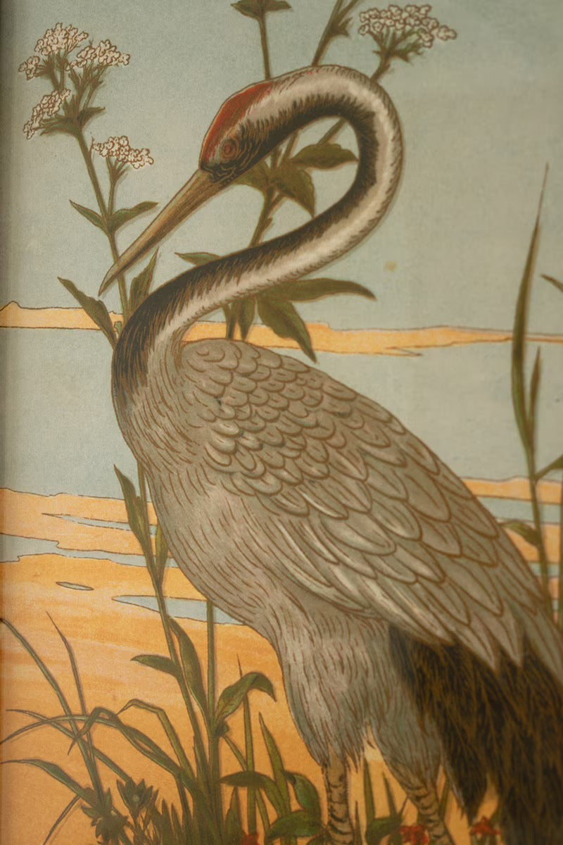 Framed Heron Prints Under Glass Set