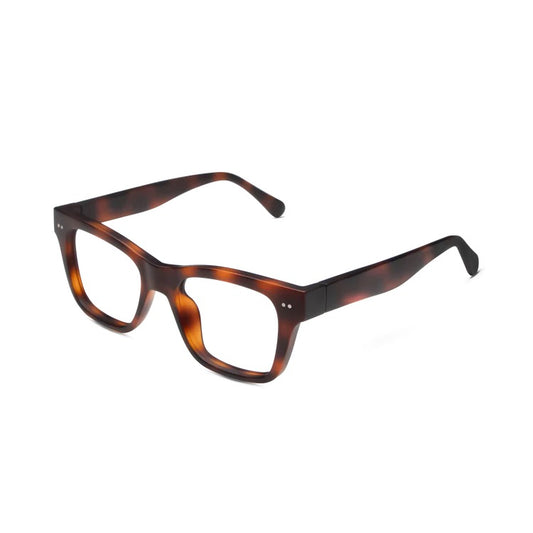 Cosmo Readers-Tortoise