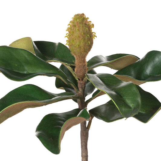 Faux Teddy Bear Magnolia Leaf Pick