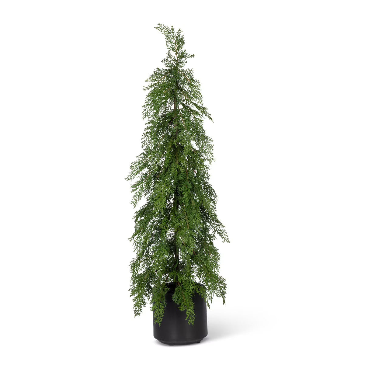 Potted Soft Touch Cedar Tree, 36" H