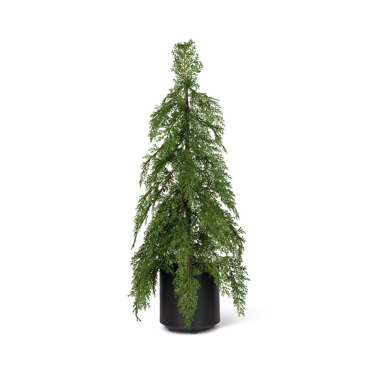 Potted Soft Touch Cedar Tree, 24" H