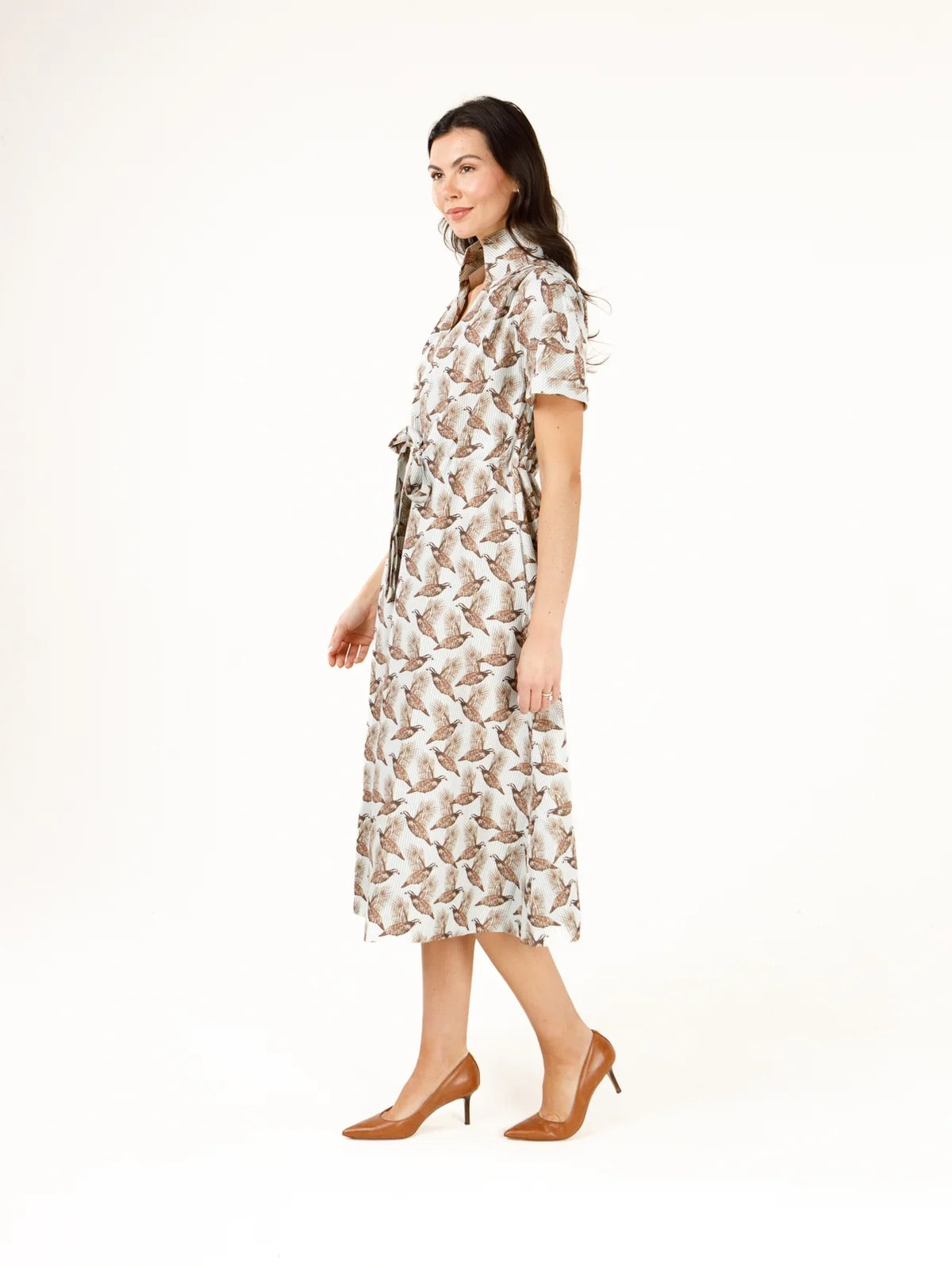 Bria Striped Luxe Oxford Field & Quail Dress