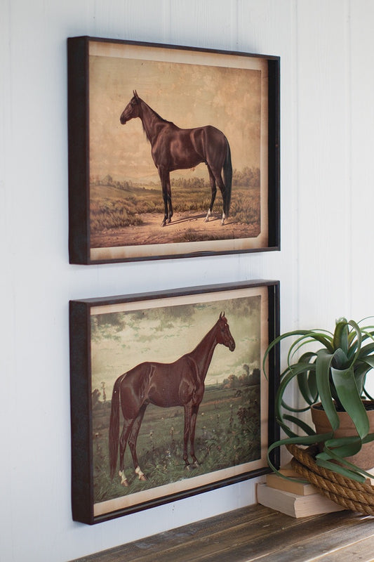 Horse Prints Under Glass Set
