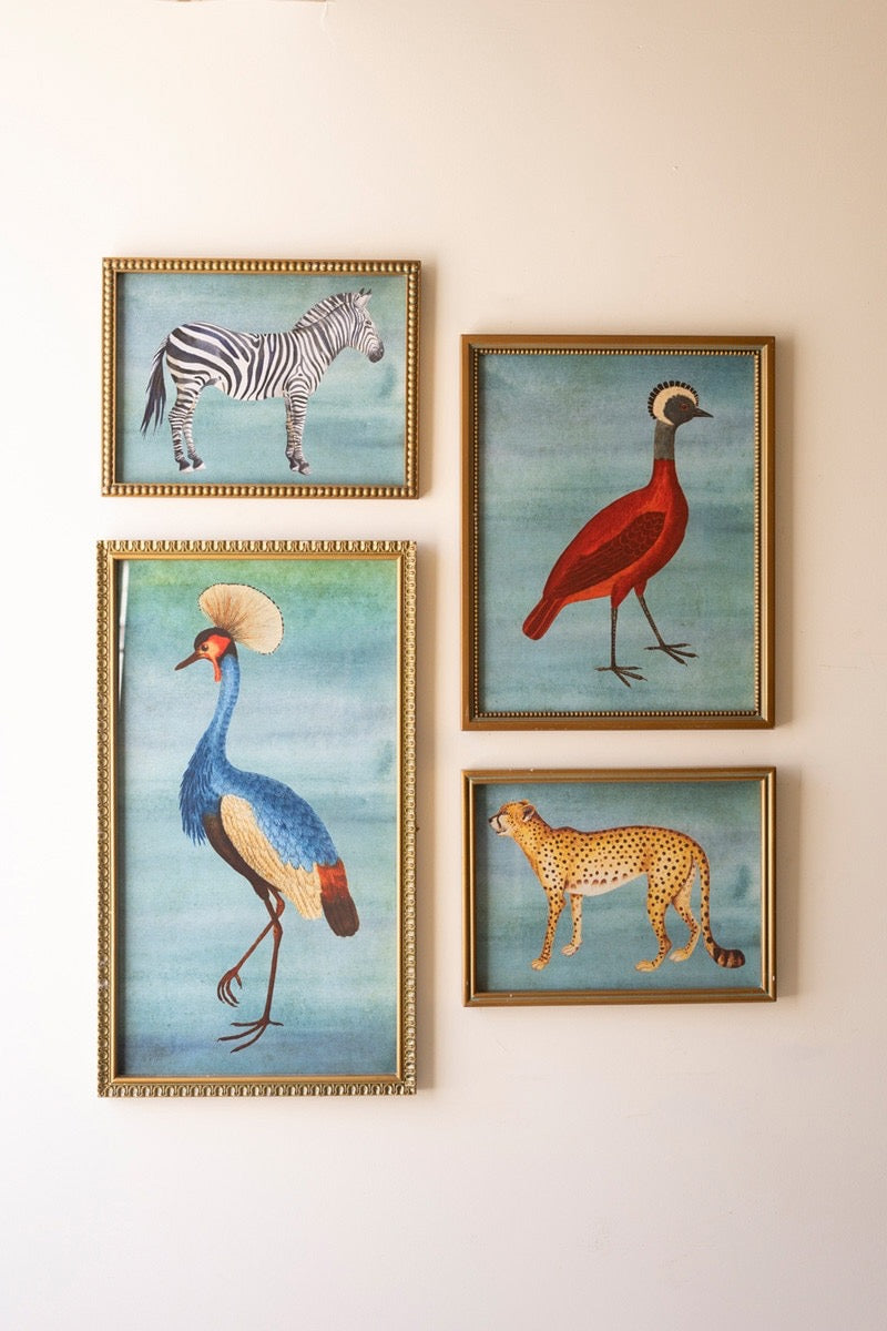 Framed Exotic Animal Prints under Glass