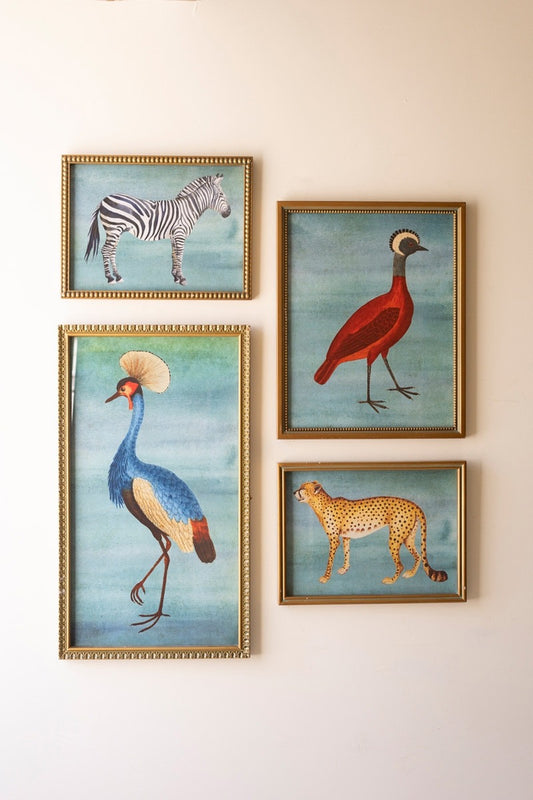 Framed Exotic Animal Prints under Glass