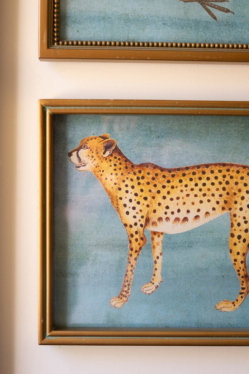 Framed Exotic Animal Prints under Glass