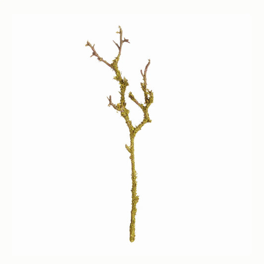Lichen Branch 17"