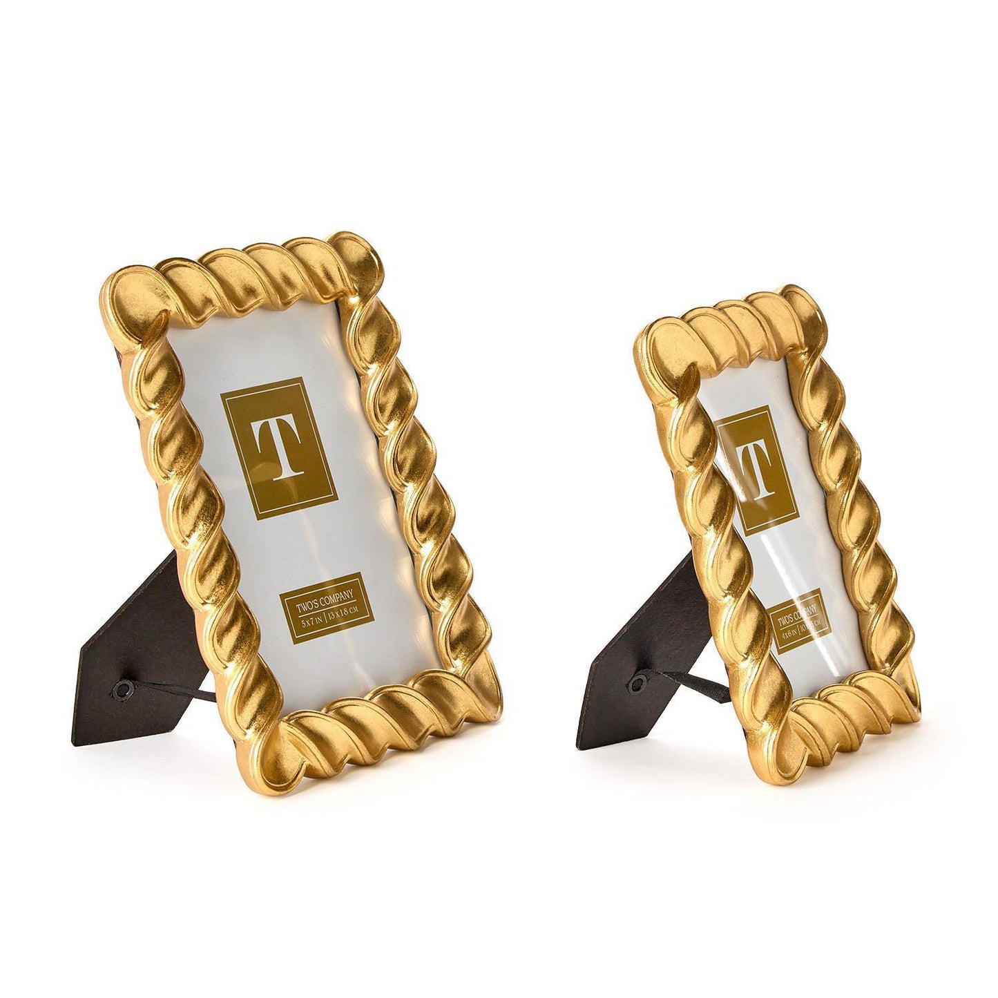 Twist Gold Leaf Frame (2 Sizes)