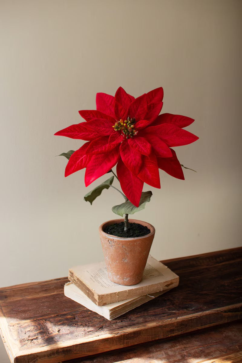 Artificial Red Poinsettia in a Cement Pot