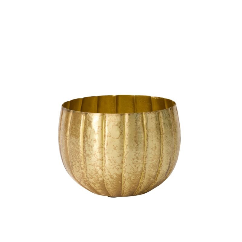 Gold Ravi Pot