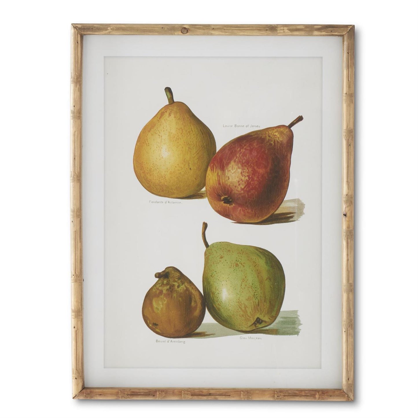 Assorted 23.5 in Wood Framed Pear Prints