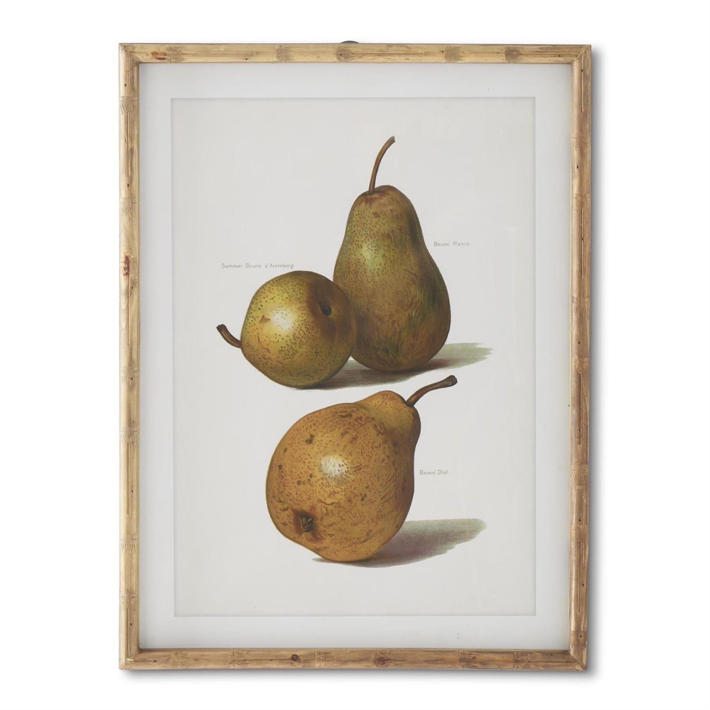 Assorted 23.5 in Wood Framed Pear Prints
