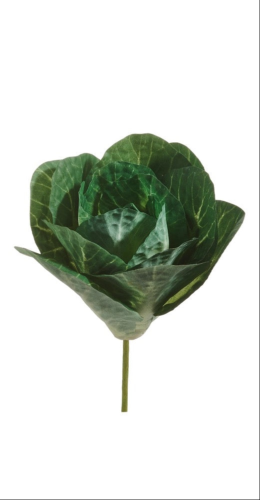 Cabbage Pick (2 Colors) Dark Green