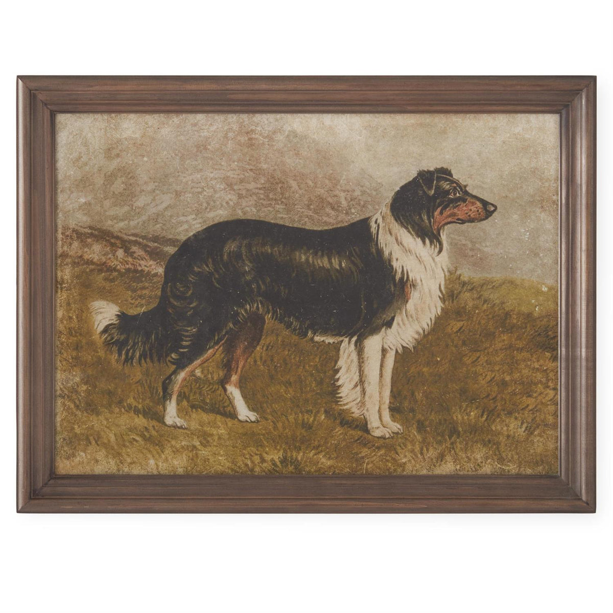 Assorted 23.5 Inch Dog Prints (4 Styles)