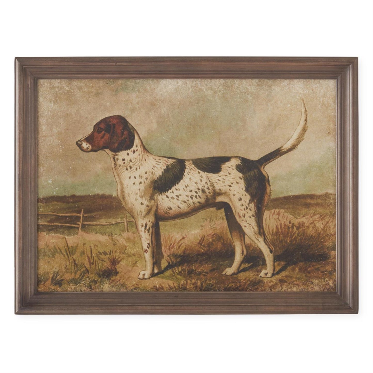 Assorted 23.5 Inch Dog Prints (4 Styles)